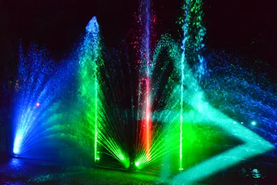 DSC_7043 (Large).JPG